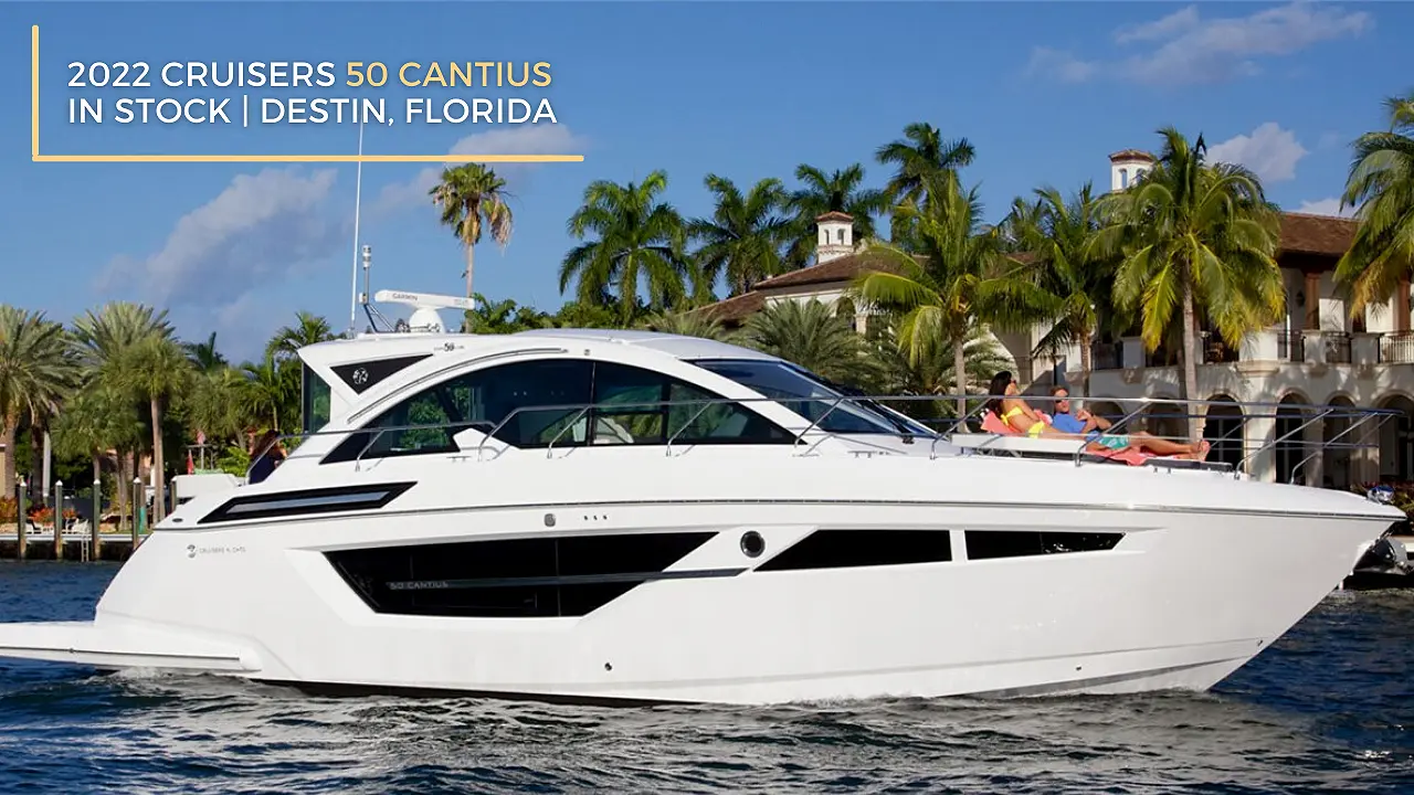 50 cantius in stock