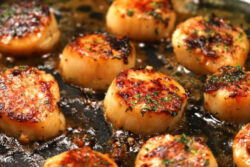 scallops