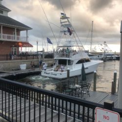 White Marlin Shootout