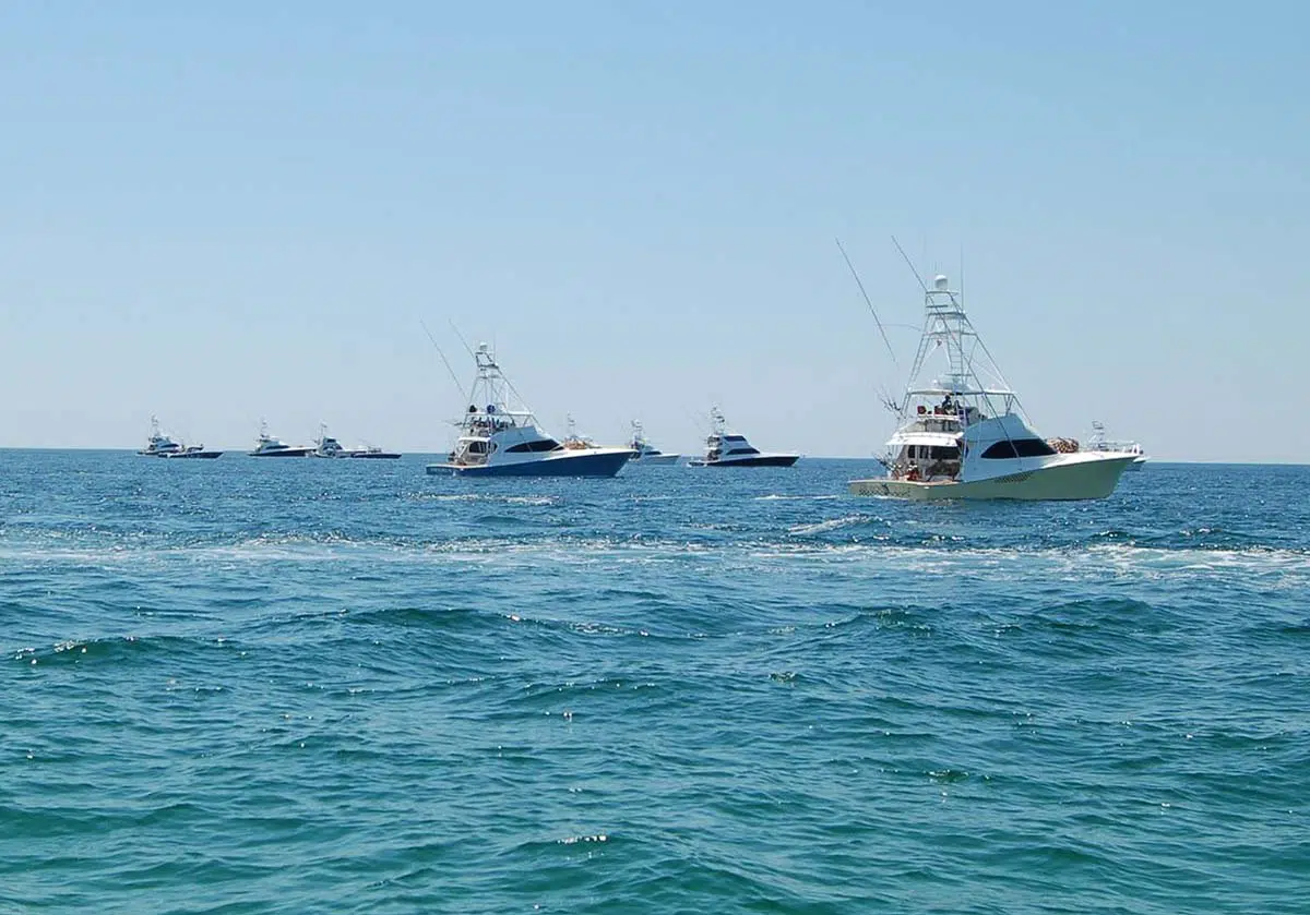 Orange Beach Billfish Classic