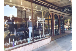 Lotus Boutique SRQ