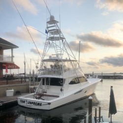 White Marlin Shootout