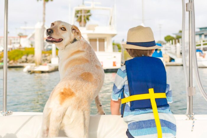 dog on a boat