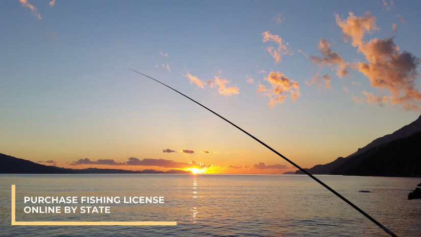 Purchase Your Fishing License Online By State