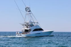 Hot Rod Sportifshing tournament: Orange Beach Billfish Classic