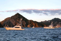 Los Cabos Billfish Toournament