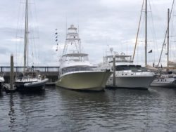 White Marlin Shootout